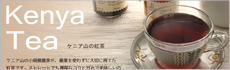 スペシャル特集