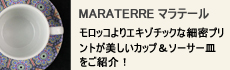 スペシャル特集