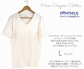 オーガニックコットンTシャツ　メンズVネックL　白SZ織