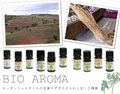 ラベンサラ アロマティカ 5ml RAVENSARA AROMATICA