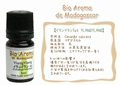 イランイラン1st 5ml YLANGYLANG