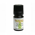 イランイラン1st 5ml YLANGYLANG