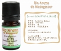 ユーカリ 5ml EUCALYPTUS GLOBULUS