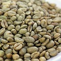 エチオピア ベレテ・ゲラ のコーヒー生豆　1KG/200G
