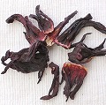 ハイビスカスホール　L　100g