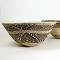 トンガビンガ Vシェイプかご 30-39.9CM 柄アソート