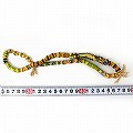 ベネティアビ-ズ 1連 良 2601 一点物