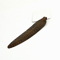 ARSI 銅 真鍮ペンダント 古 02 一点物