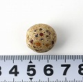 薄茶斑点ビーズ 古 バラ _2602 一点物