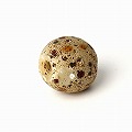 薄茶斑点ビーズ 古 バラ _2602 一点物