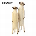 木彫動物 ミーアキャット 中