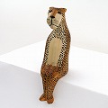 メル動物 すわり ヒョウ