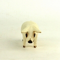ジンバブエ木彫動物 ブタ 小