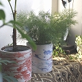 マーブル柄陶器 植木鉢 ミックス系