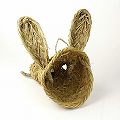 動物の頭 イノシシ